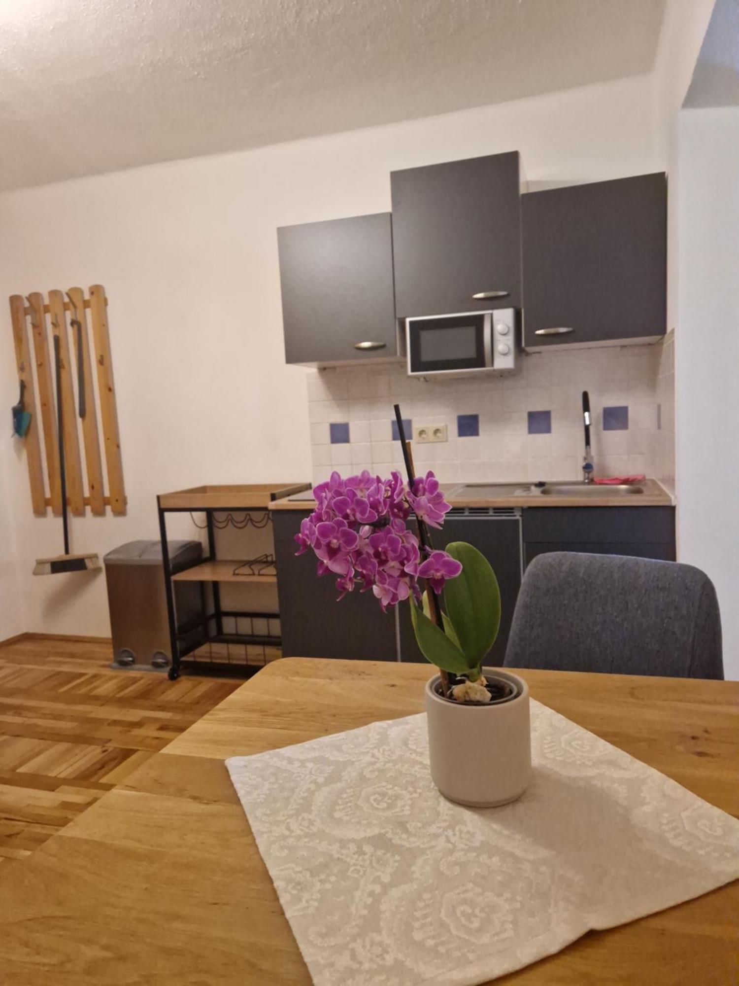 فندق Haus Rupitsch Winklern  المظهر الخارجي الصورة